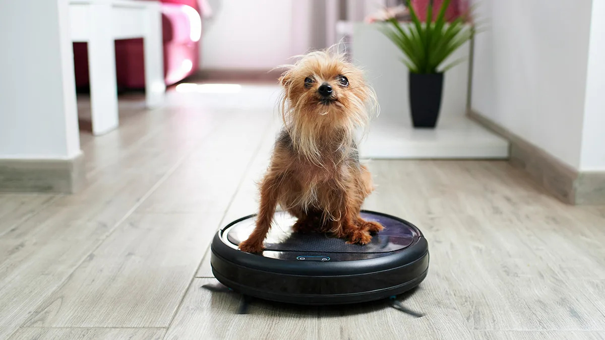 The Ultimate Guide to the Best Robot Vacuums for Pet Hair: Your Home, Fur-Free